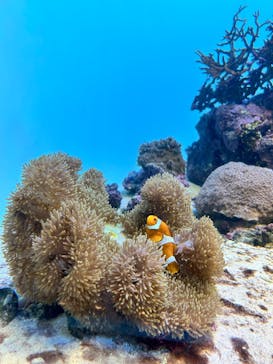 葛西臨海水族園に投稿された画像（2025/12/14）