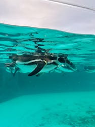 葛西臨海水族園に投稿された画像（2025/12/14）