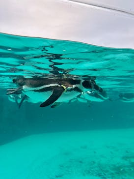 葛西臨海水族園に投稿された画像（2025/12/14）
