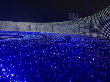 東京メガイルミに投稿された画像（2025/12/14）