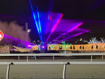 東京メガイルミに投稿された画像（2025/12/14）