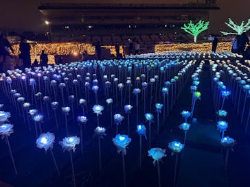 東京メガイルミに投稿された画像（2025/12/14）