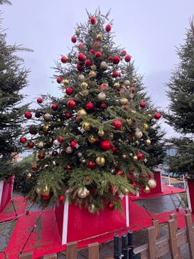 Christmas Market in 横浜赤レンガ倉庫 2025に投稿された画像（2025/12/14）