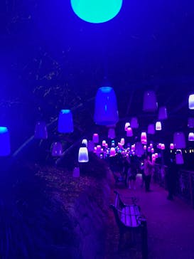 安城産業文化公園デンパークに投稿された画像（2025/12/14）