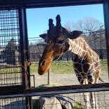 那須サファリパークに投稿された画像（2025/12/15）