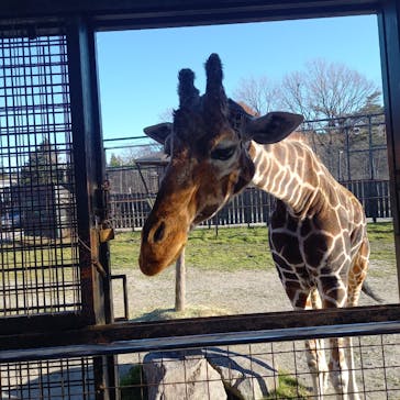 那須サファリパークに投稿された画像（2025/12/14）