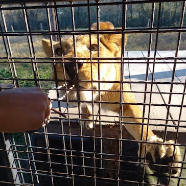 那須サファリパークに投稿された画像（2025/12/14）