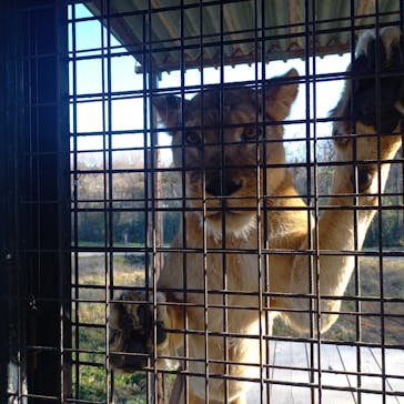 那須サファリパークに投稿された画像（2025/12/14）