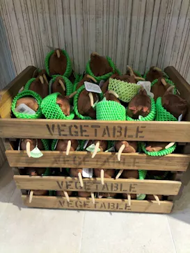 天王寺動物園に投稿された画像（2023/9/18）