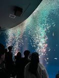 名古屋港水族館に投稿された画像（2025/12/15）