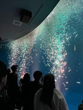 名古屋港水族館に投稿された画像（2025/12/14）