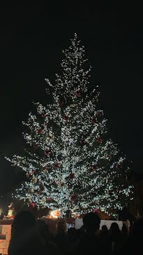 Christmas Market in 横浜赤レンガ倉庫 2025に投稿された画像（2025/12/14）