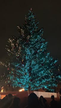 Christmas Market in 横浜赤レンガ倉庫 2025に投稿された画像（2025/12/14）