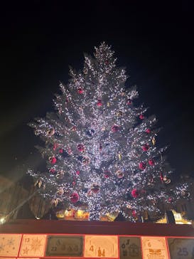 Christmas Market in 横浜赤レンガ倉庫 2025に投稿された画像（2025/12/14）