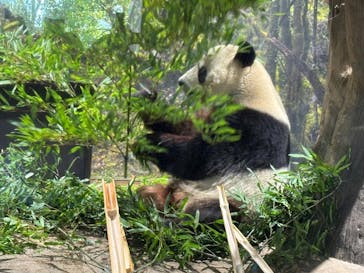 恩賜上野動物園に投稿された画像（2025/12/14）