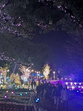 安城産業文化公園デンパークに投稿された画像（2025/12/14）