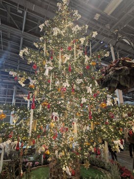 安城産業文化公園デンパークに投稿された画像（2025/12/14）