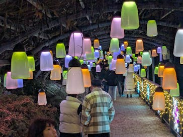 安城産業文化公園デンパークに投稿された画像（2025/12/14）