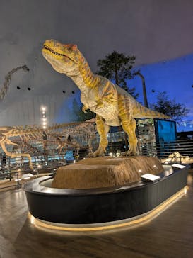 福井県立恐竜博物館に投稿された画像（2025/12/14）