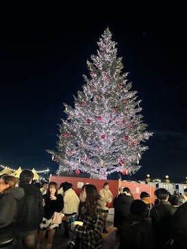Christmas Market in 横浜赤レンガ倉庫 2025に投稿された画像（2025/12/14）