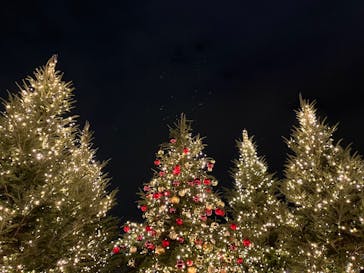 Christmas Market in 横浜赤レンガ倉庫 2025に投稿された画像（2025/12/14）