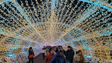 東京メガイルミに投稿された画像（2025/12/15）