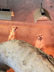 霞ケ浦 どうぶつとみんなのいえに投稿された画像（2025/12/15）