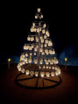 世羅高原農場に投稿された画像（2025/12/15）