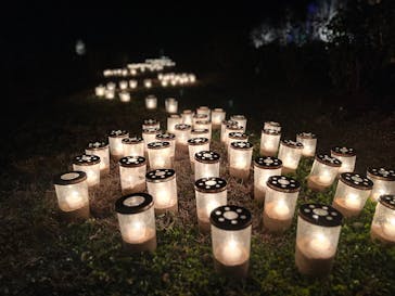 世羅高原農場に投稿された画像（2025/12/15）