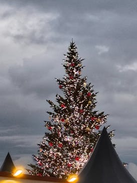 Christmas Market in 横浜赤レンガ倉庫 2025に投稿された画像（2025/12/15）