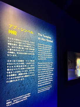 ACN ラムセス大王展 ファラオたちの黄金に投稿された画像（2025/12/15）