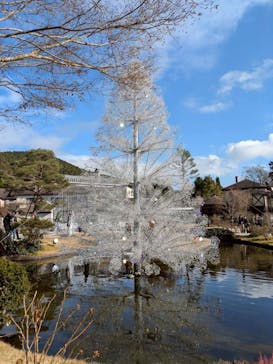 箱根ガラスの森美術館に投稿された画像（2025/12/15）