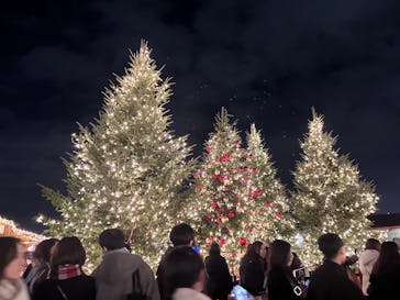 Christmas Market in 横浜赤レンガ倉庫 2025に投稿された画像（2025/12/15）