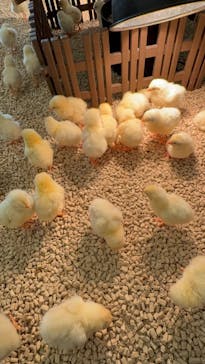 Moff アニマル カフェ イーアス 高尾店に投稿された画像（2025/12/15）