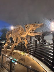 福井県立恐竜博物館に投稿された画像（2025/12/15）