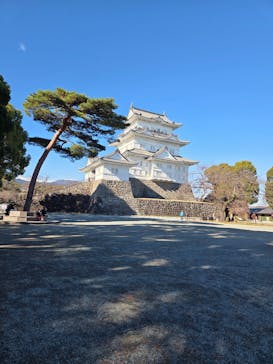 小田原城に投稿された画像（2025/12/15）