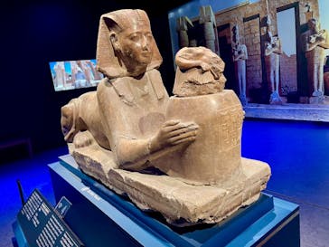 ACN ラムセス大王展 ファラオたちの黄金に投稿された画像（2025/12/15）