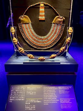 ACN ラムセス大王展 ファラオたちの黄金に投稿された画像（2025/12/15）
