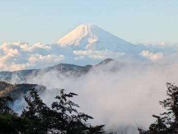 伊豆シャボテン動物公園に投稿された画像（2025/12/15）