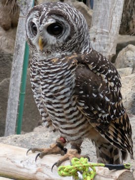 伊豆シャボテン動物公園に投稿された画像（2025/12/15）