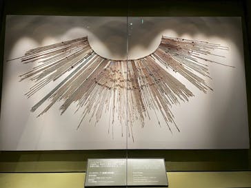 CREVIA マチュピチュ展／CREVIA MACHU PICCHU AND THE GOLDEN EMPIRES OF PERUに投稿された画像（2025/12/15）