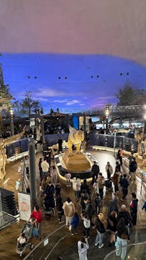 福井県立恐竜博物館に投稿された画像（2025/12/15）