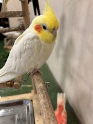 Moff animal world BIGHOPガーデンモール印西店に投稿された画像（2025/12/15）