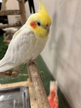 Moff animal world BIGHOPガーデンモール印西店に投稿された画像（2025/12/15）