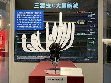 特別展「大絶滅展―生命史のビッグファイブ」に投稿された画像（2025/12/15）