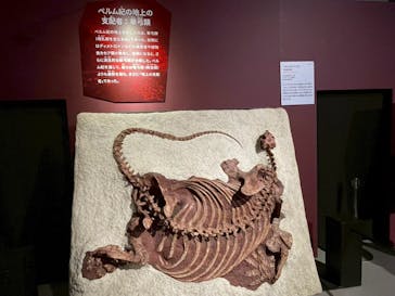 特別展「大絶滅展―生命史のビッグファイブ」に投稿された画像（2025/12/15）