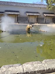 東映太秦映画村に投稿された画像（2025/12/15）