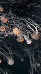 サンシャイン水族館に投稿された画像（2025/12/15）