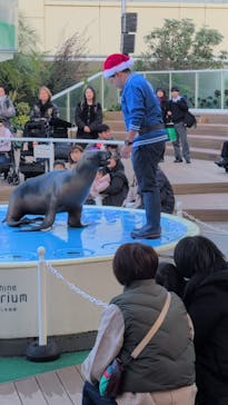 サンシャイン水族館に投稿された画像（2025/12/15）