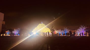 東京メガイルミに投稿された画像（2025/12/15）